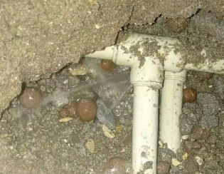 金口河卫生间测漏
